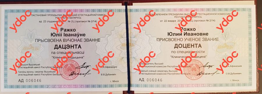 Документы и фотографии - Рожко Ю. И.