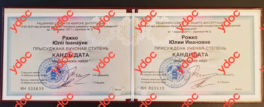 Документы и фотографии - Рожко Ю. И.