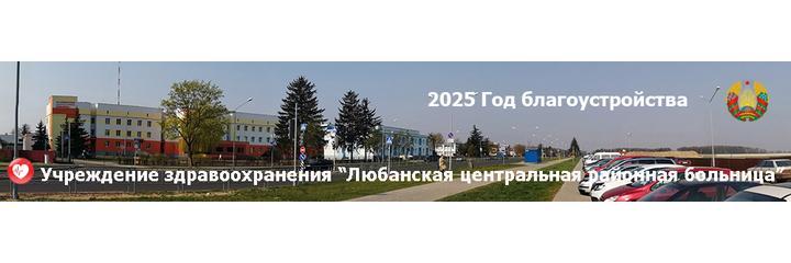 Сосновская участковая больница, Любань - фото