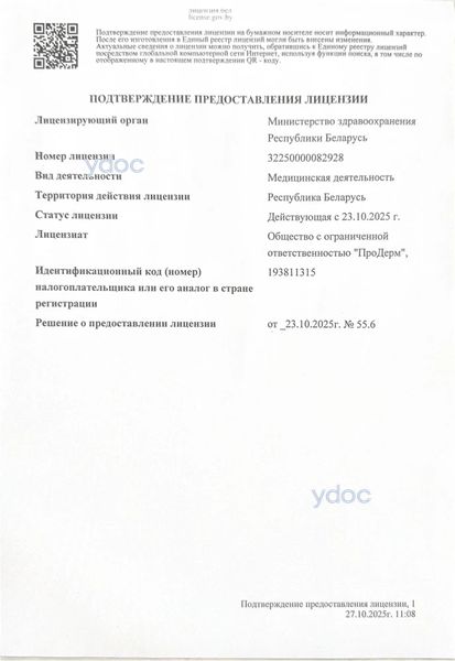 Лицензия Лицензия