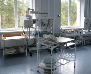 Родильный блок